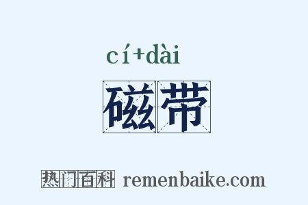 磁带是什么意思的图片